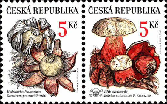 Zusammendruck