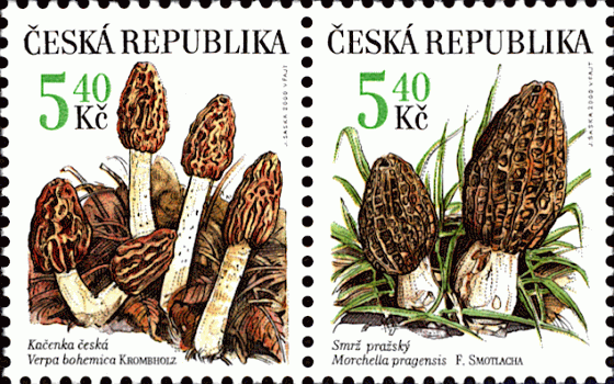 Zusammendruck