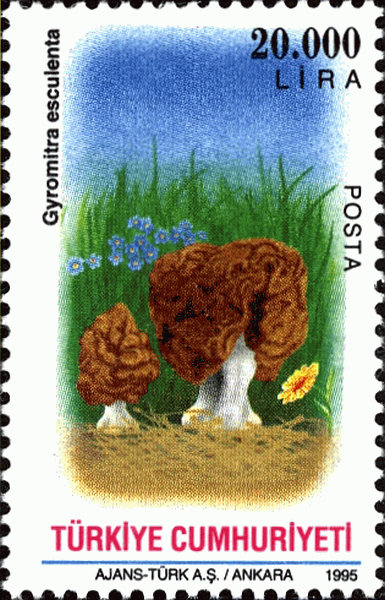 Briefmarke