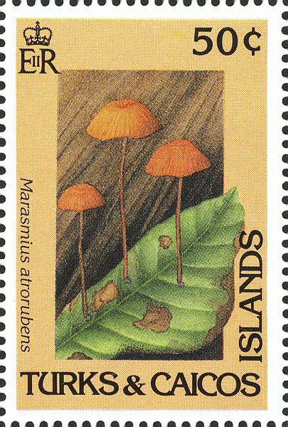 Briefmarke