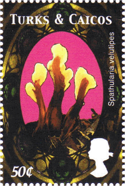 Briefmarke