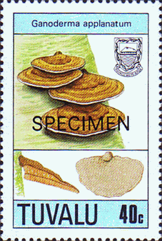 Briefmarke