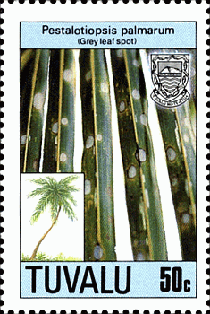Briefmarke