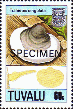 Briefmarke