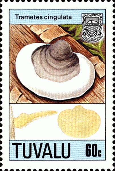 Briefmarke