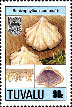 Briefmarke