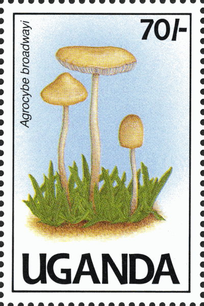 Briefmarke