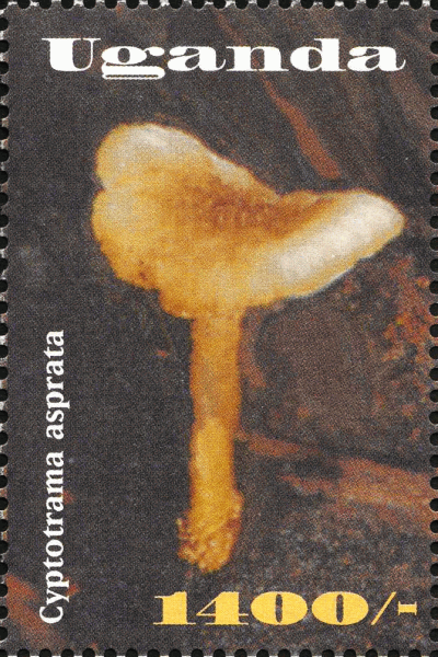 Briefmarke
