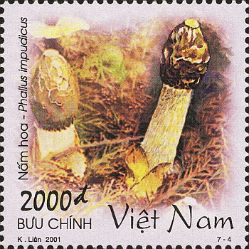Briefmarke