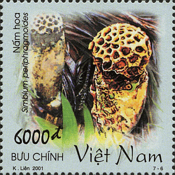 Briefmarke