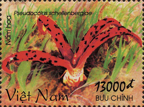 Briefmarke