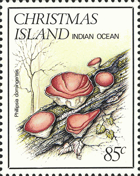 Briefmarke