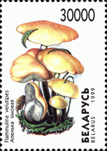 Briefmarke