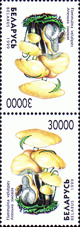 Kehrdruck