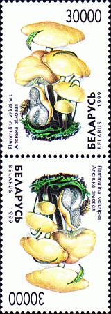 Kehrdruck