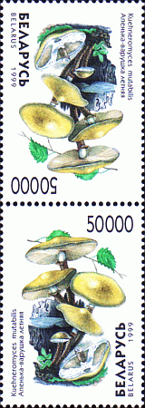 Kehrdruck