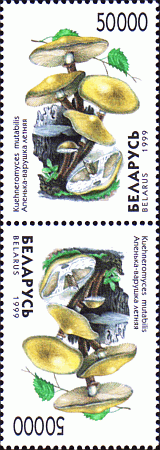 Kehrdruck