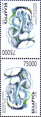 Kehrdruck