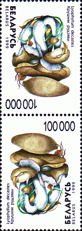 Kehrdruck