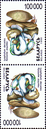 Kehrdruck