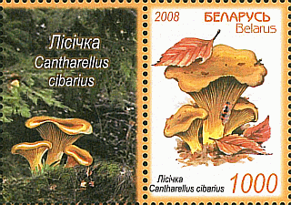 Zusammendruck