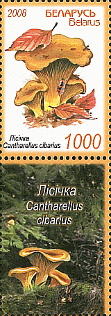 Zusammendruck