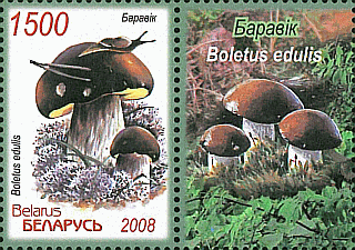 Zusammendruck