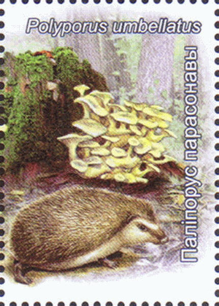 Briefmarke