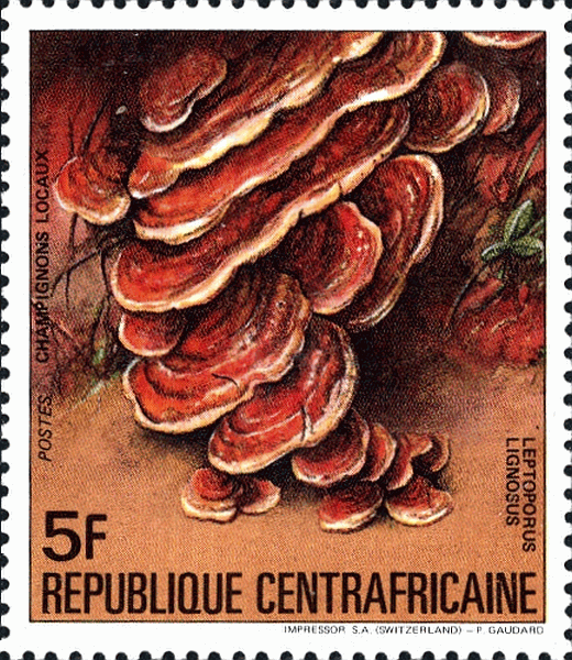 Briefmarke