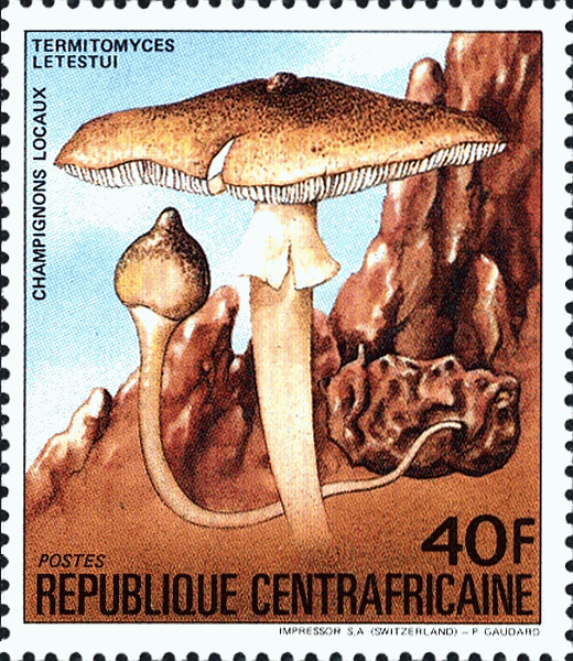 Briefmarke