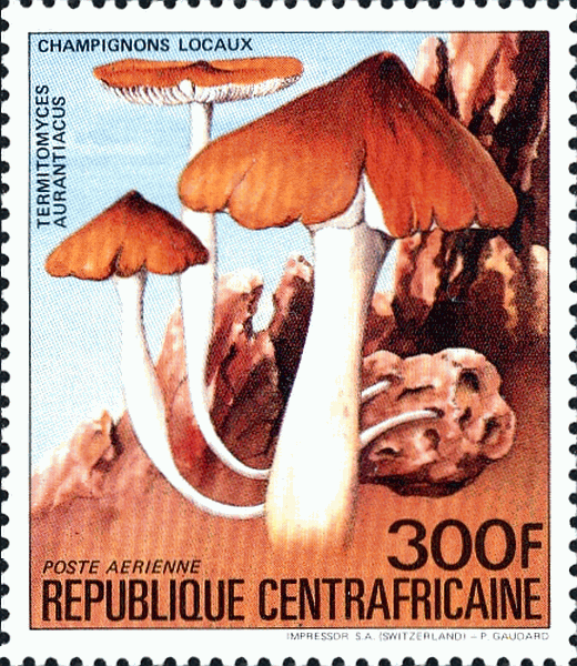 Briefmarke