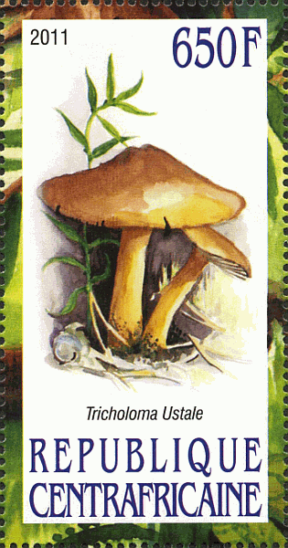 Briefmarke