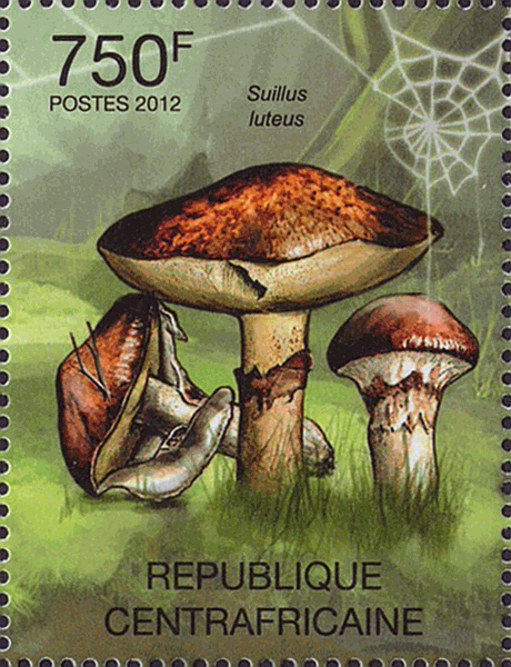 Briefmarke