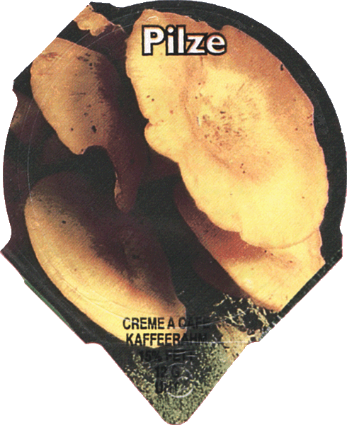 Kaffeerahmdeckel