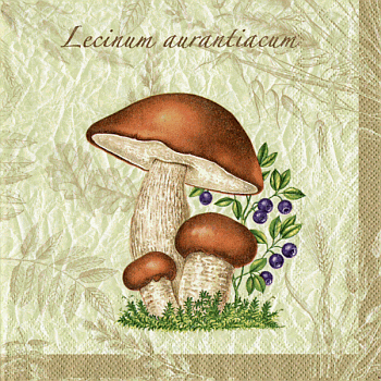 Serviette, ein Viertel