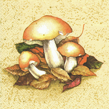 Serviette, ein Viertel