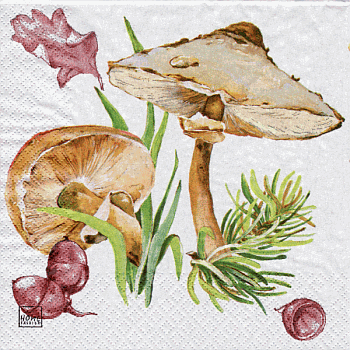 Serviette, ein Viertel