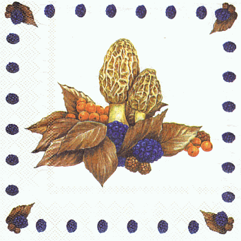 Serviette, ein Viertel