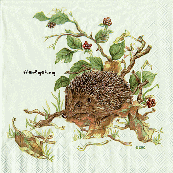 Serviette, ein Viertel