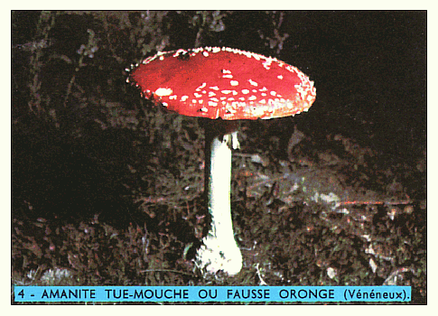 Reklamemarke