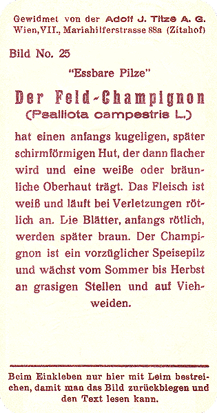 Reklamebild, R&uuml;ckseite