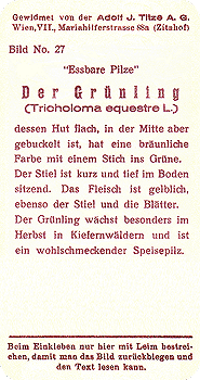 Reklamebild, R&uuml;ckseite
