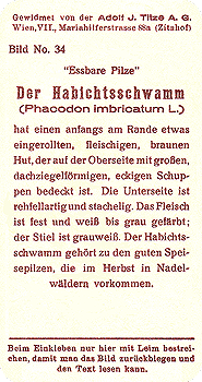 Reklamebild, R&uuml;ckseite