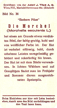 Reklamebild, R&uuml;ckseite