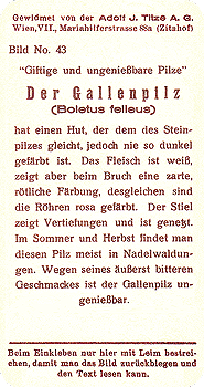 Reklamebild, R&uuml;ckseite