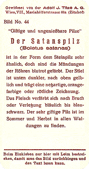 Reklamebild, R&uuml;ckseite