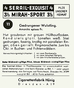 Reklamebild