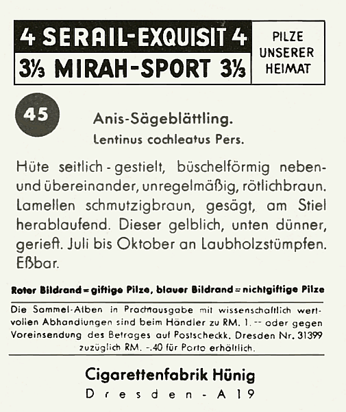 Reklamebild