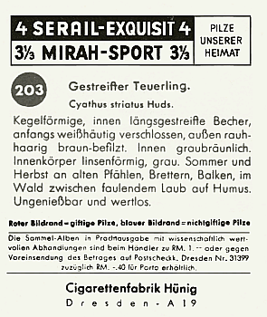 Reklamebild