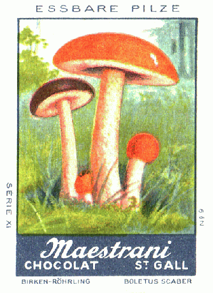 Reklamebild